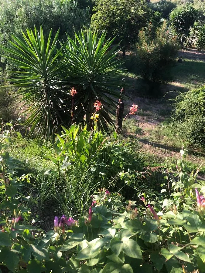 Finca El Rio,, La Casita One Of 2 Self Catering Studios. Pool And Hydrotherapy Jacuzzi Malaga 0*,  Spain